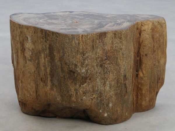 Side table petrified wood 48055