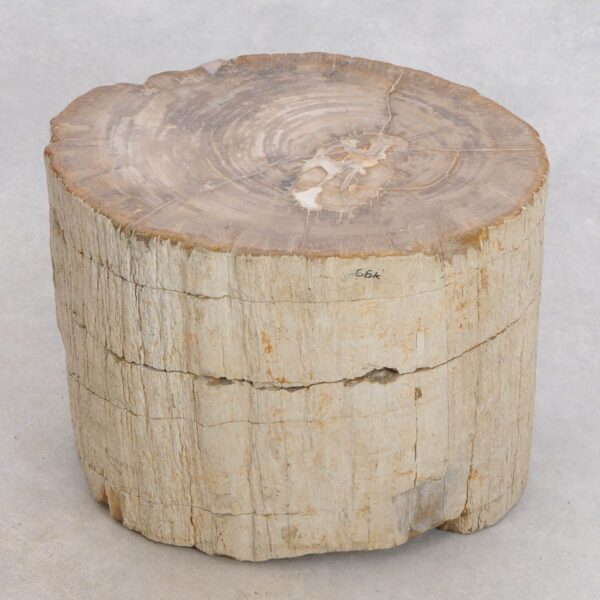 Side table petrified wood 48112