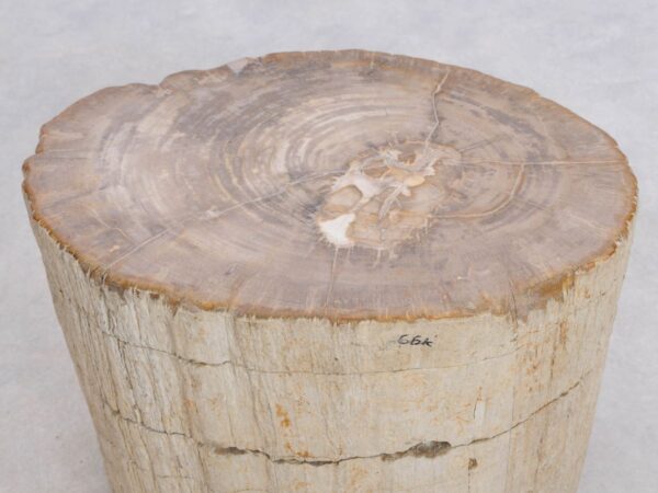 Side table petrified wood 48112