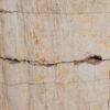 Side table petrified wood 48112