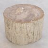 Side table petrified wood 48112