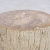 Side table petrified wood 48112