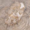 Side table petrified wood 48112