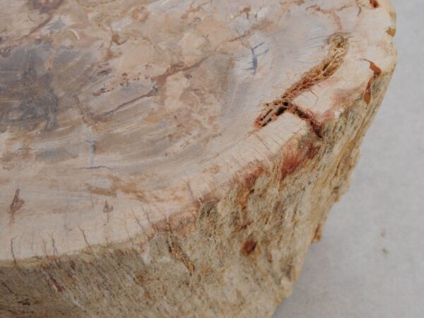 Side table petrified wood 48179