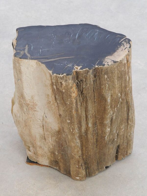 Side table petrified wood 48191