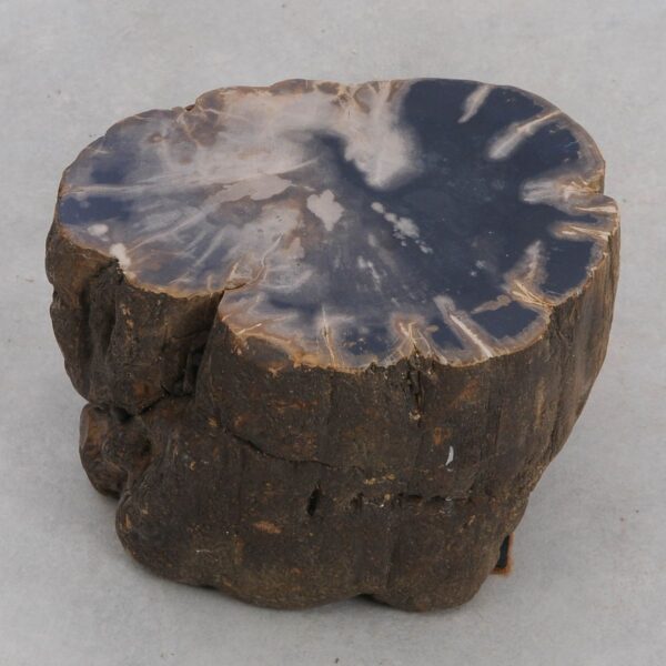 Side table petrified wood 48192