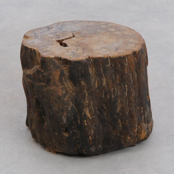 Side table petrified wood 48194
