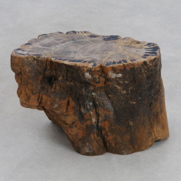 Side table petrified wood 48195