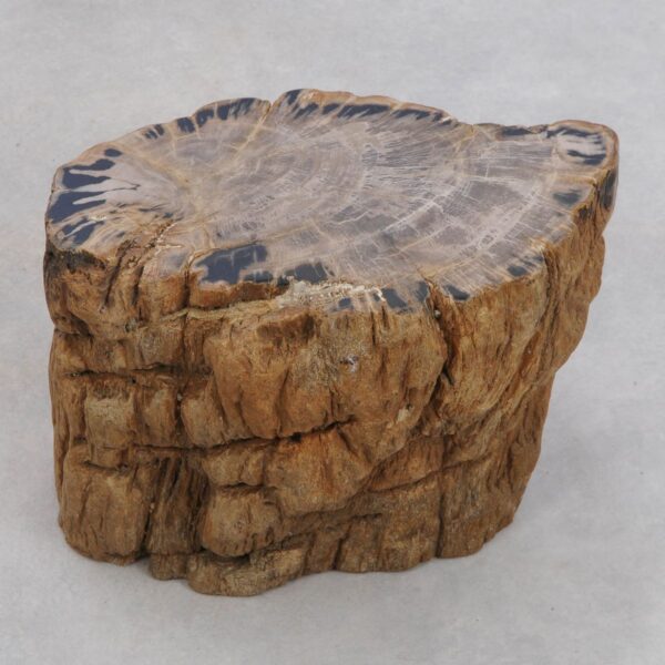 Side table petrified wood 48195