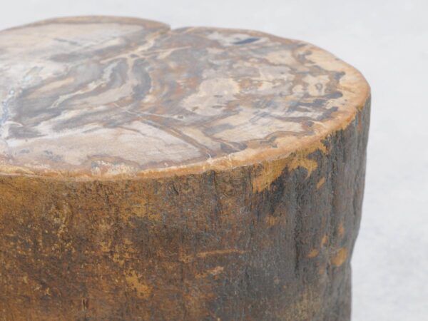 Side table petrified wood 48196