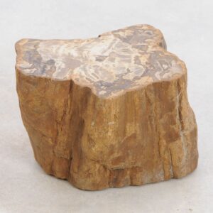 Side table petrified wood 48197