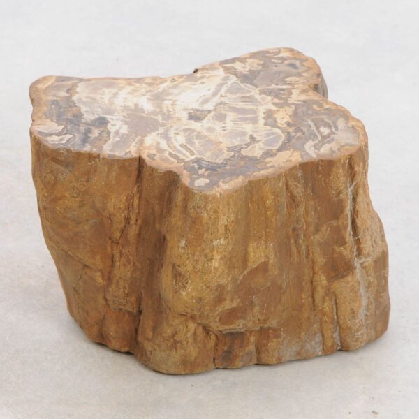 Side table petrified wood 48197