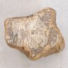 Side table petrified wood 48197