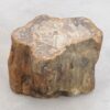 Side table petrified wood 48197