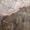 Side table petrified wood 48197