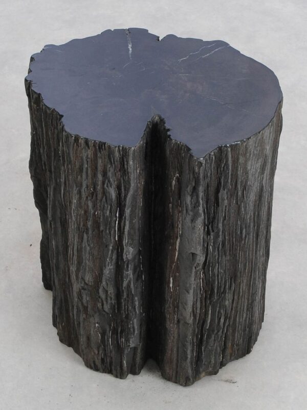Side table petrified wood 48312