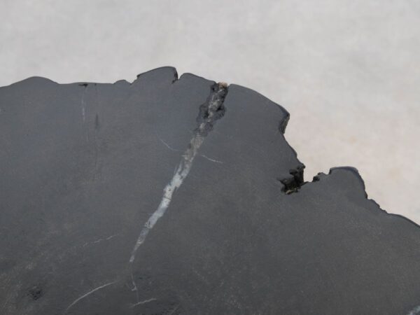 Side table petrified wood 48312