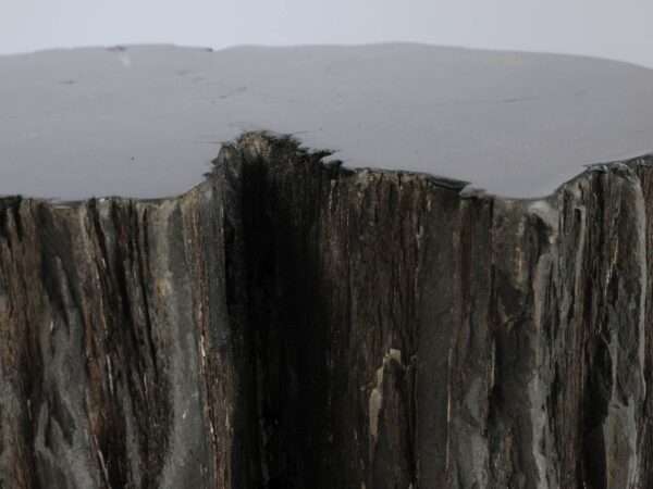 Side table petrified wood 48312