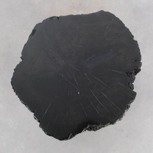 Side table petrified wood 48314