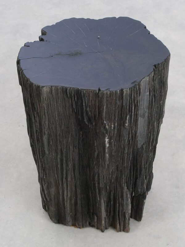 Side table petrified wood 48314