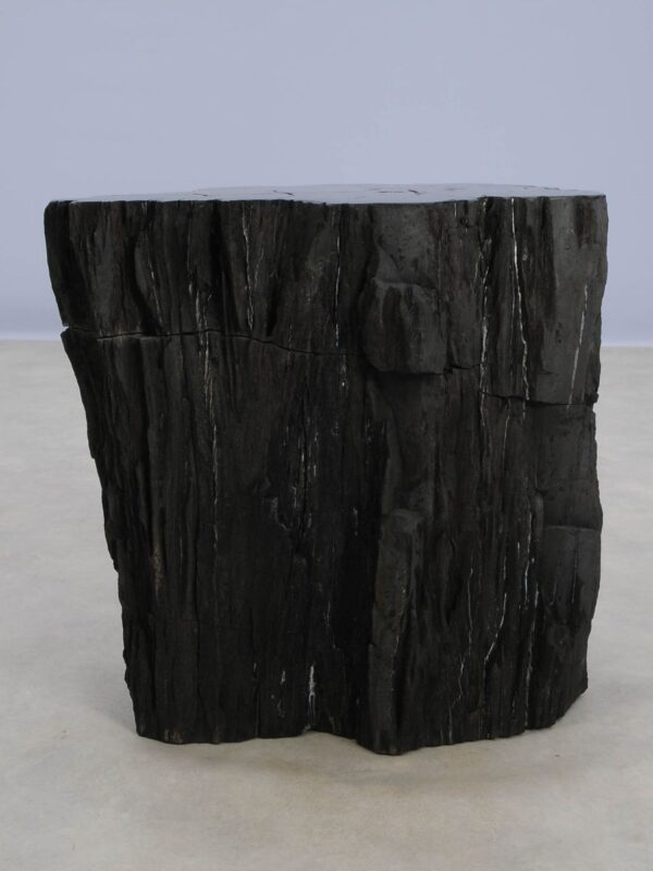 Side table petrified wood 48343