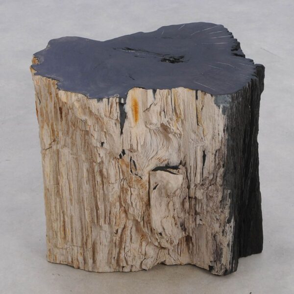 Side table petrified wood 48344