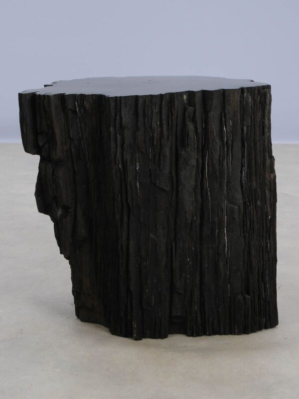 Side table petrified wood 48345