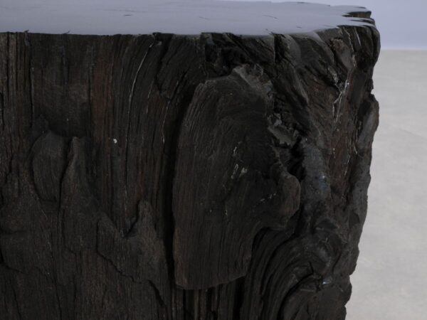 Side table petrified wood 48345