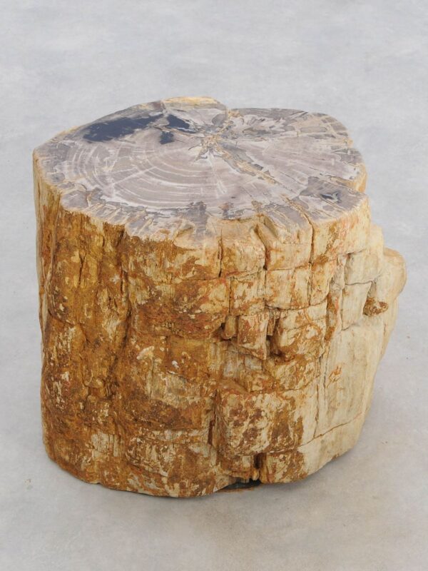 Side table petrified wood 48346