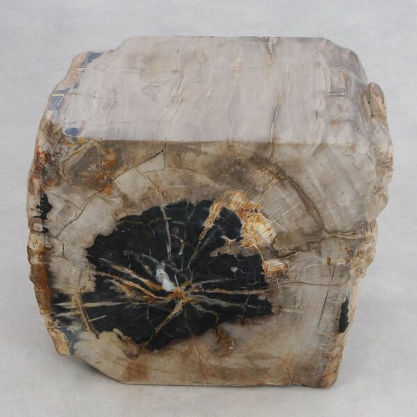 Side table petrified wood 48347