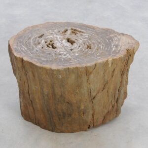 Side table petrified wood 48349