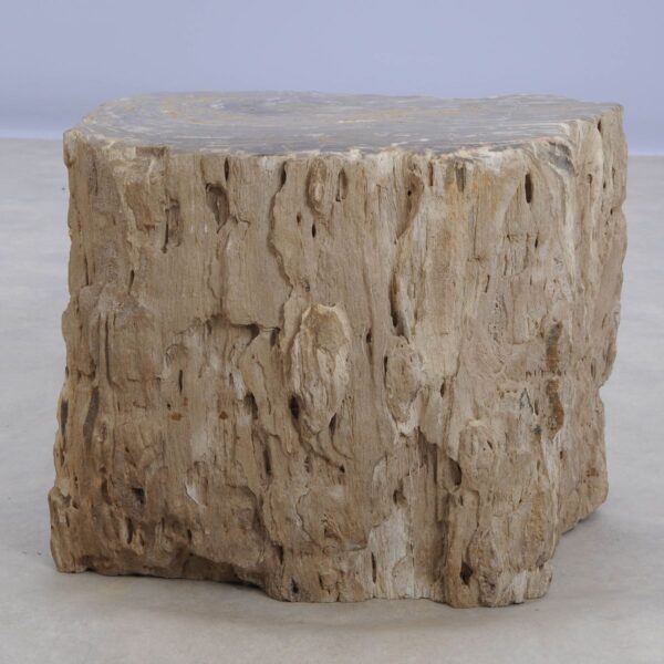 Side table petrified wood 48350