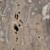 Side table petrified wood 48350