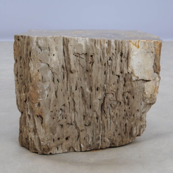 Side table petrified wood 48350