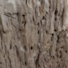 Side table petrified wood 48350