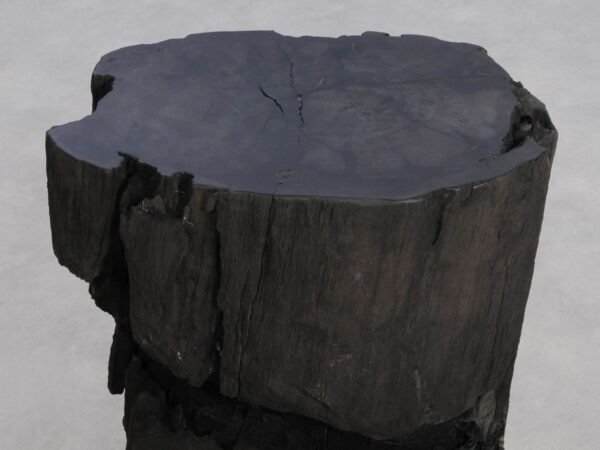 Side table petrified wood 48353