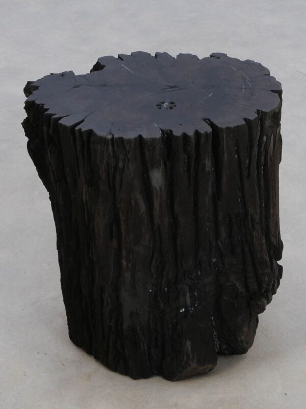 Side table petrified wood 48354