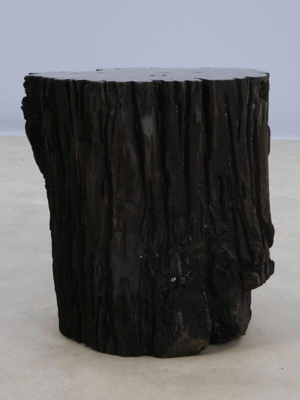 Side table petrified wood 48354