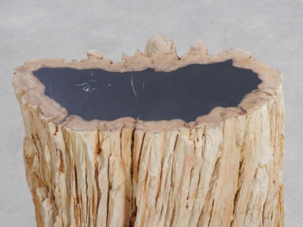 Side table petrified wood 48355