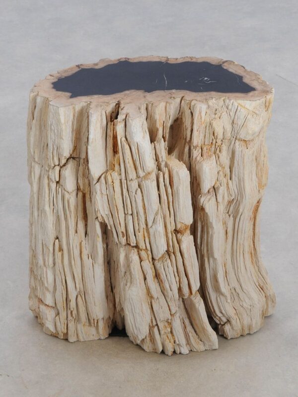 Side table petrified wood 48355