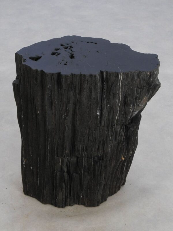 Side table petrified wood 48356