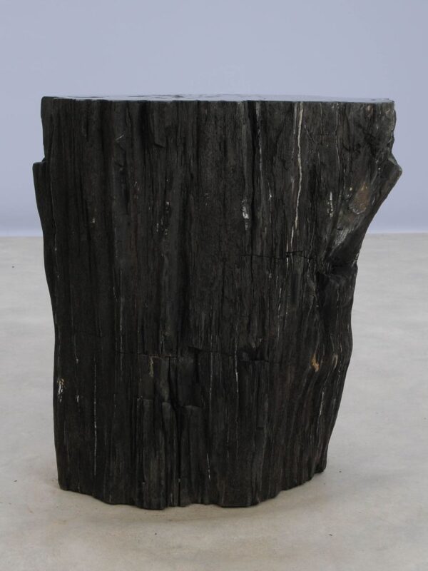 Side table petrified wood 48356