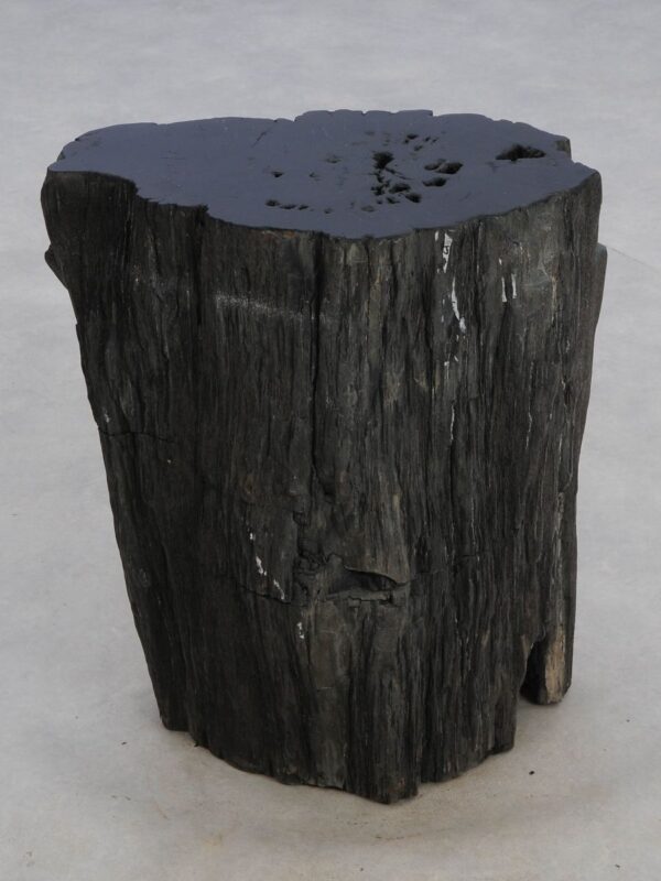 Side table petrified wood 48356