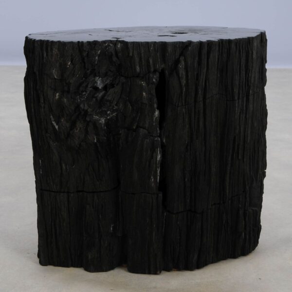 Side table petrified wood 48357