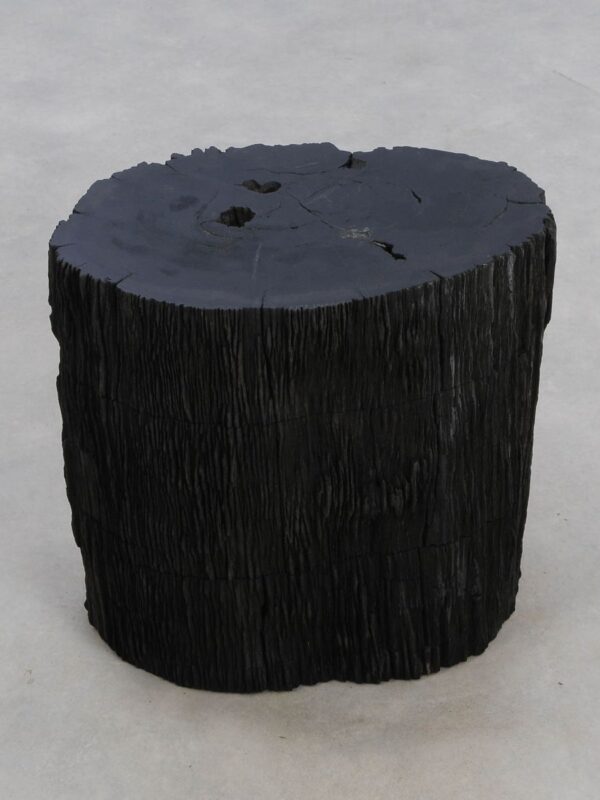 Side table petrified wood 48357