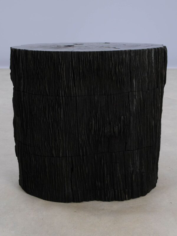 Side table petrified wood 48357
