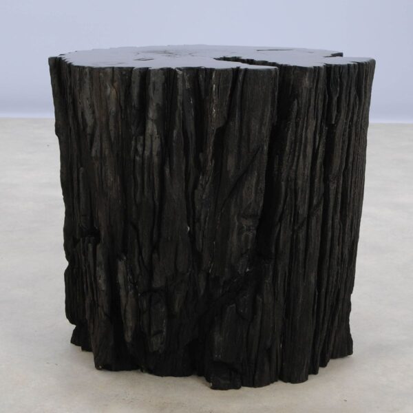 Side table petrified wood 48358