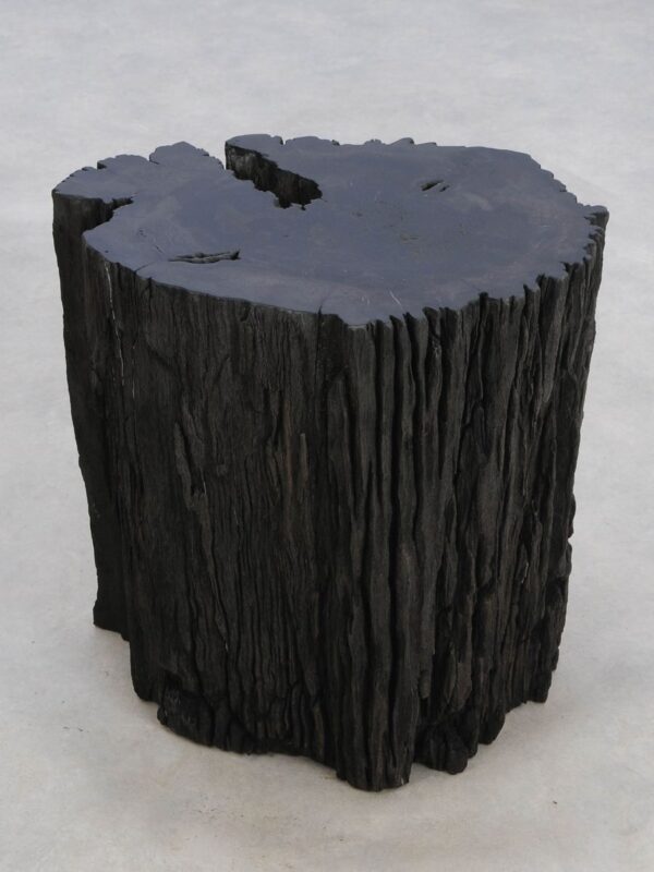 Side table petrified wood 48358