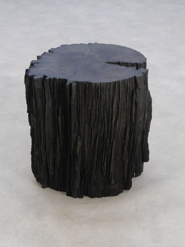 Side table petrified wood 48360