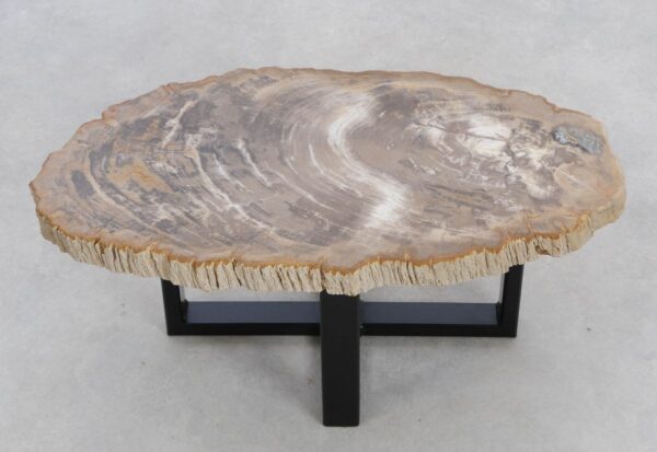 Table basse bois pétrifié 48203
